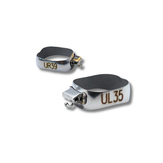 Molar Bands باند