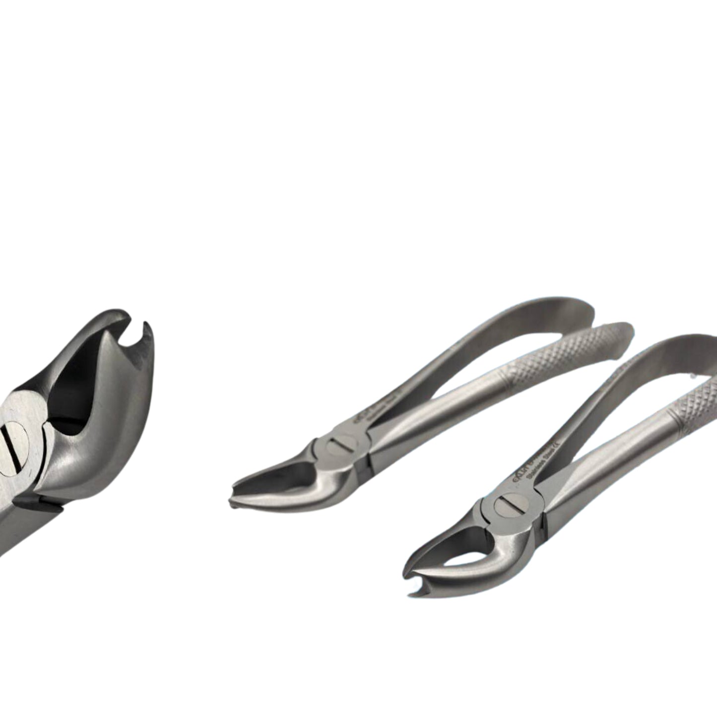 Cowhorrn forceps for Upper