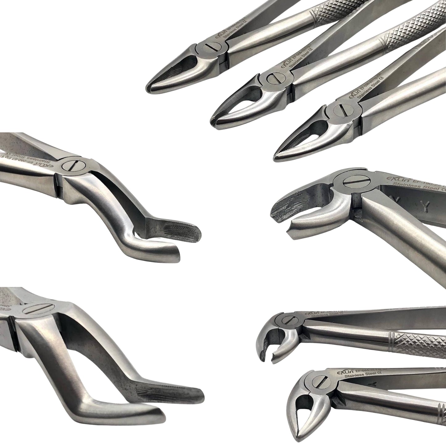 Forceps Kit from Exlin