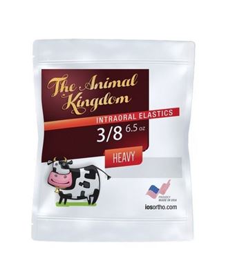 Intra oral Elastic Latex