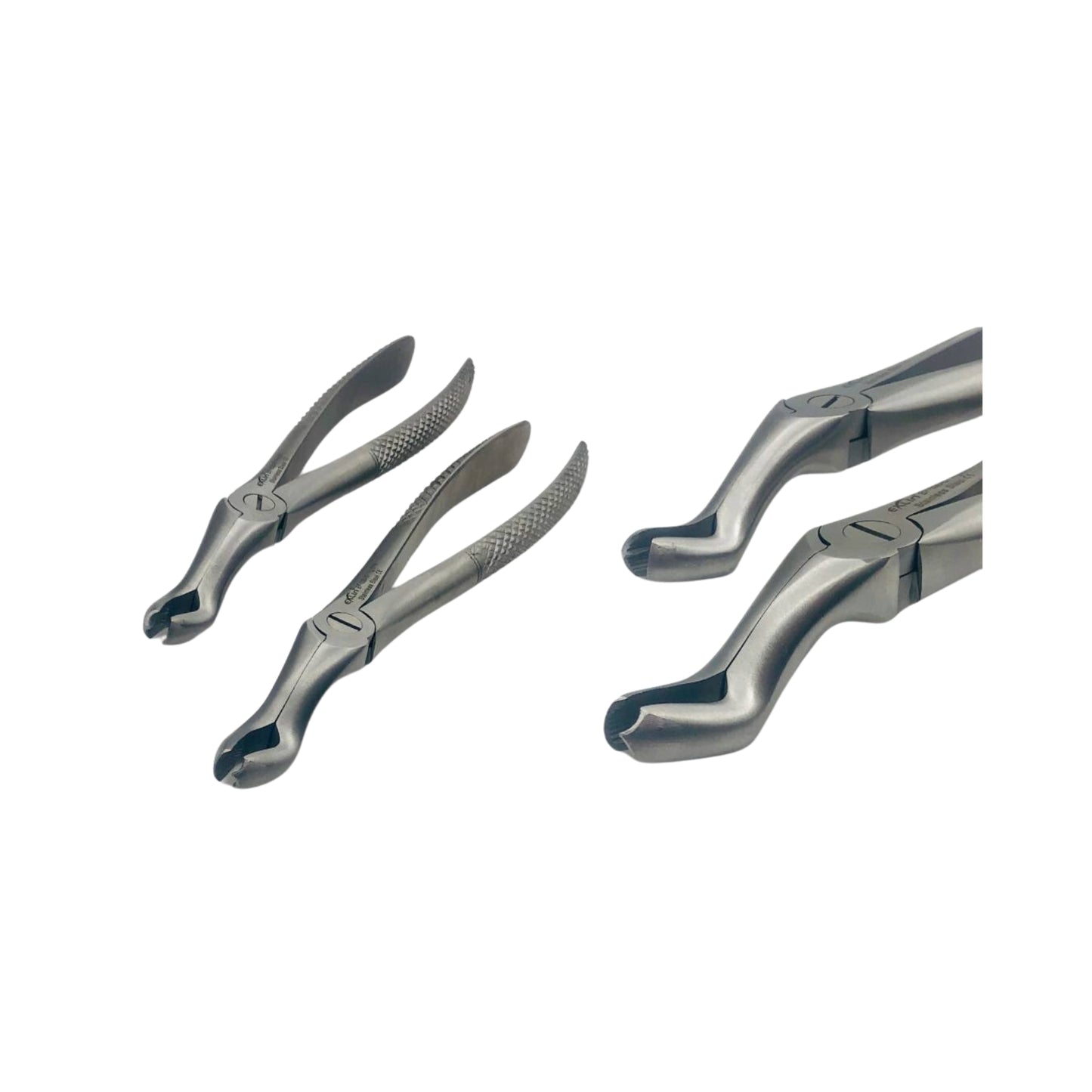 Upper Molars Forceps