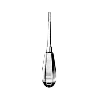 Exlin Chisel Dental Surgery Instruments